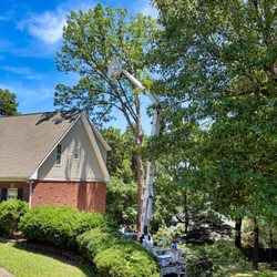 Top That Tree Services