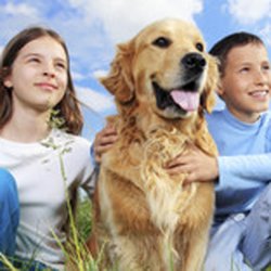 Chicago Drive Veterinary Clinic