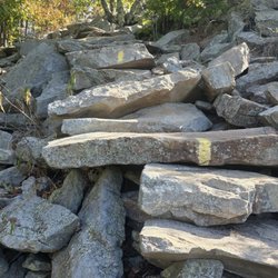 Pinnacle Mountain State Park - More "trail"... You have to use your imagination, and a lot of muscle