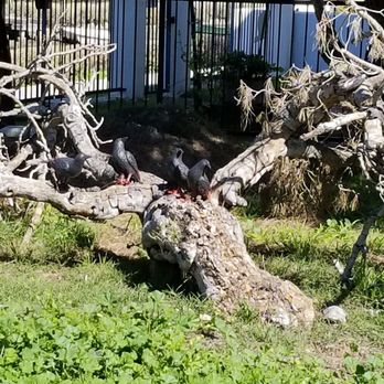 Venice Canals - Real spooky and cool - Landmarks & Historical Buildings Near Me - Venice, California Venice Canals - Real spooky and cool - Landmarks & Historical Buildings Near Me - Venice, California