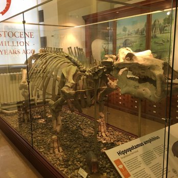 Sedgwick Museum Of Earth Sciences - Museums Near Me - Cambridge, CAM Sedgwick Museum Of Earth Sciences - Museums Near Me - Cambridge, CAM