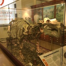 Sedgwick Museum Of Earth Sciences