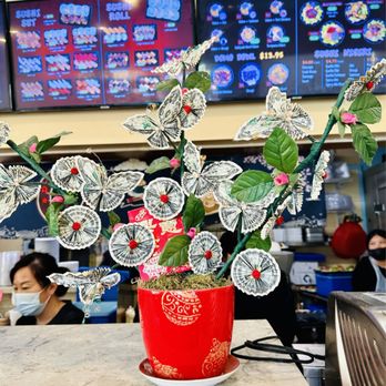 Summer Solstice  Domo - Money tree - Unofficial Yelp Events Near Me - Honolulu, Hawaii