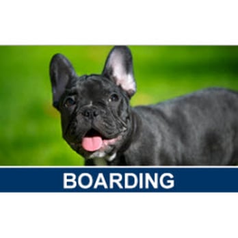 Dogwood Hill Kennel - Pet Training Near Me - Reva, Virginia Dogwood Hill Kennel - Pet Training Near Me - Reva, Virginia
