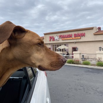 Pho Thanh Binh - Getting takeout! - Vietnamese Near Me - San Clemente, California Pho Thanh Binh - Getting takeout! - Vietnamese Near Me - San Clemente, California