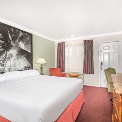 Super 8 by Wyndham Upper Lake - Guest room