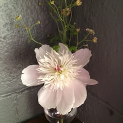 Rosehips Studio [Art + Beauty] - Look for beauty everywhere.