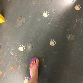 Paws Resale Shoppe - Adorable floor - Antiques Near Me - Highland, Indiana Paws Resale Shoppe - Adorable floor - Antiques Near Me - Highland, Indiana