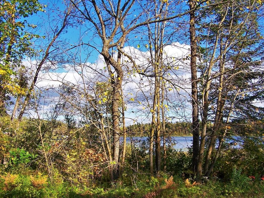 BIG ELBOW LAKE LODGE AND CAMPGROUND 40419 Elbow Lake Store Rd, Waubun, Minnesota Campgrounds