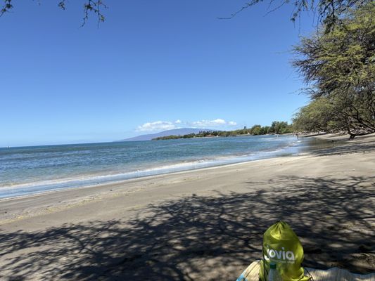 Olowalu Beach by null