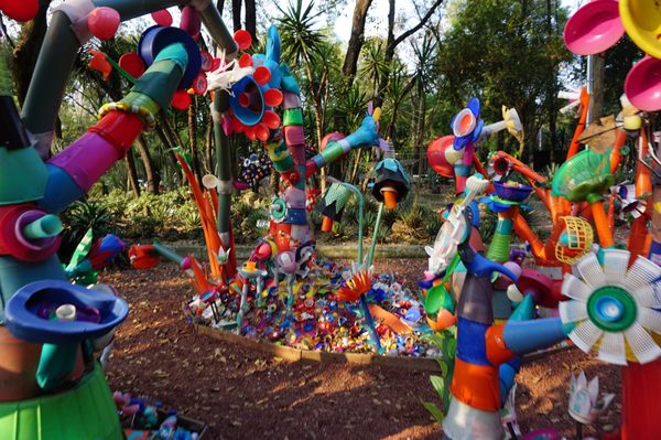 Jardín Botánico del Bosque de Chapultepec by null
