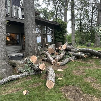 K&J Tree Service - Tree Services Near Me - Hamden, Connecticut