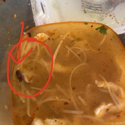 Akiai Pho - Aquí pueden ver mas claro la cucaracha ! Jamás volveremos