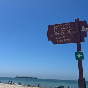 Rosie's Dog Beach - Dog Parks Near Me - Long Beach, California Rosie's Dog Beach - Dog Parks Near Me - Long Beach, California