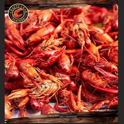 Crafty Crab - League City