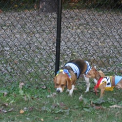 Burger Dog Park