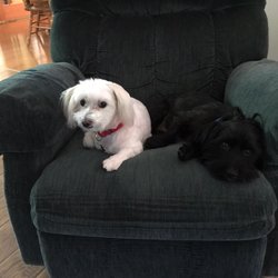 Good Karma Animal Rescue of MN