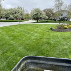 Nutri Green Fertilization - The difference proper fertilization makes.