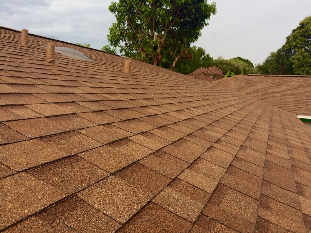 Slide of Rhyne Restoration