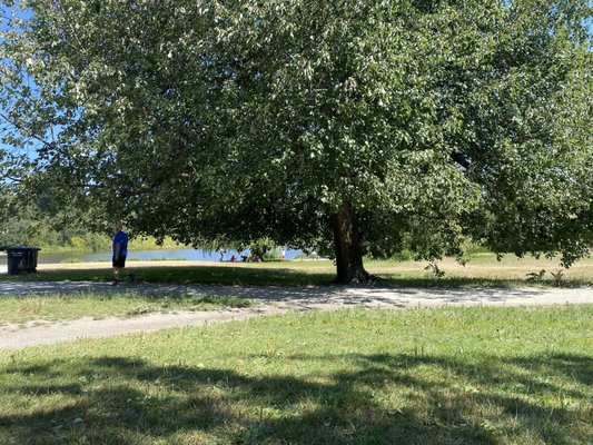 John Hendry Park (Trout Lake Park) by null