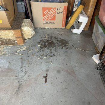 SecureSpace Self Storage San Jose Lonus - Rat urine and feces - Self Storage Near Me - San Jose, California SecureSpace Self Storage San Jose Lonus - Rat urine and feces - Self Storage Near Me - San Jose, California