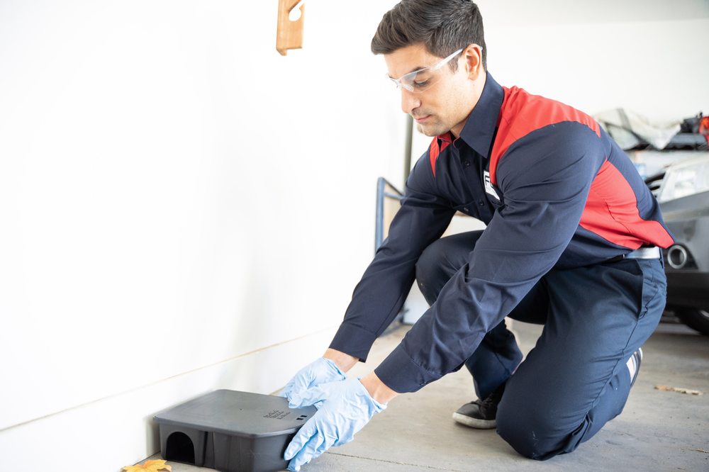 FOX PEST CONTROL ALBANY Updated September 2024 10 Photos & 57 Reviews 431 New Karner Rd