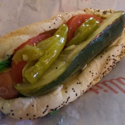 Chicago Dog Chicago Dog