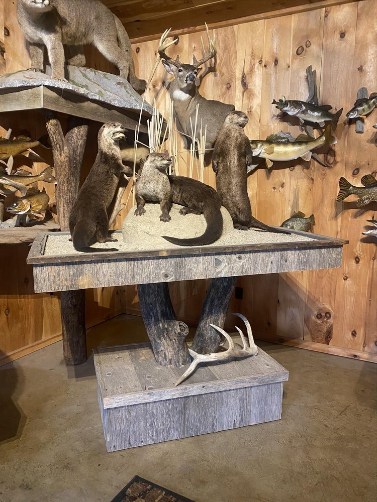 7 Oaks Taxidermy - taxidermy in Mineral Point, WI