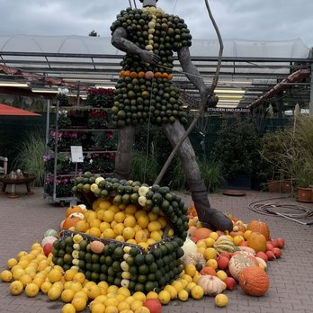 Schley's Blumenparadies - Flowers & Gifts Near Me - Ratingen, NW