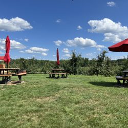 Davenport Fruit Farm Cidery & Winery - Outside