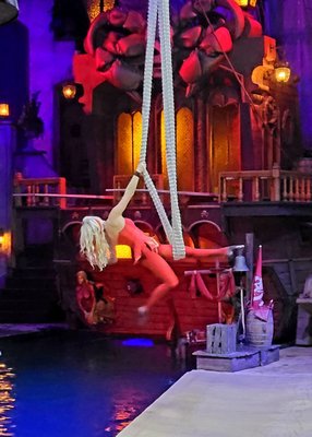 Pirates Voyage Dinner & Show by null