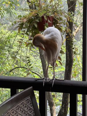 KL Bird Park by null