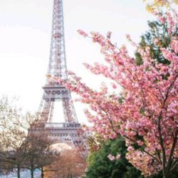 Rock Star Destinations - Eiffel Tower
