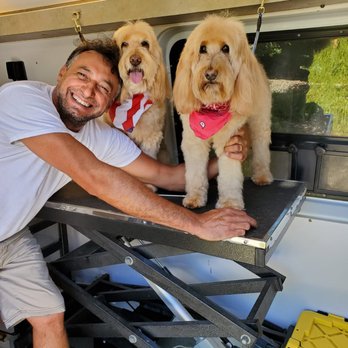 Quick Grooming Pet Salon - Thank you, guys! - Pet Groomers Near Me Quick Grooming Pet Salon - Thank you, guys! - Pet Groomers Near Me