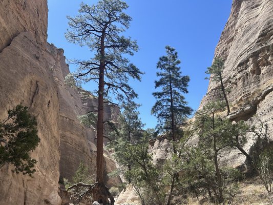 Kasha-Katuwe Tent Rocks National Monument by null