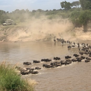 Access 2 Tanzania - Wildebeest migration - Travel Services Near Me - Saint Paul, Minnesota