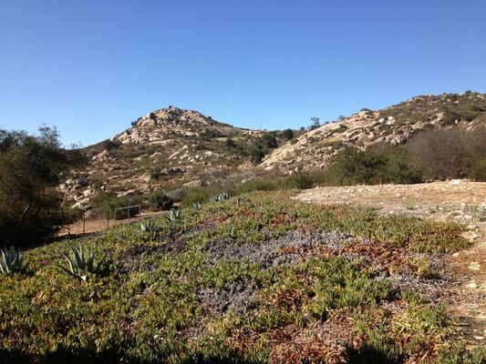 Mahogany Mountain Vineyard and Winery by null