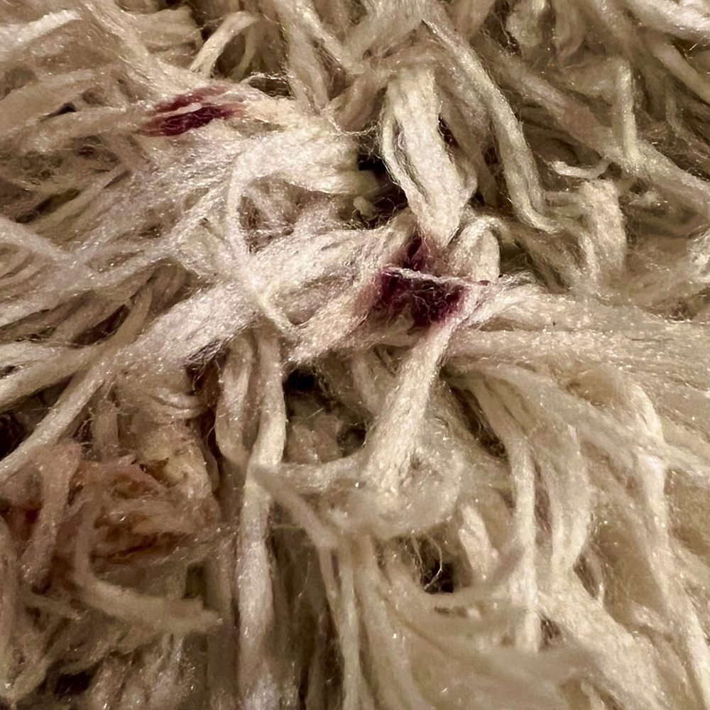 At Home - Rug - Furniture Stores Near Me - Coraopolis, Pennsylvania