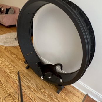 Pounce Cat Cafe - Themed Cafes Near Me - Savannah, Georgia Pounce Cat Cafe - Themed Cafes Near Me - Savannah, Georgia
