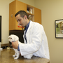 Photo of Cachet Village Animal Hospital