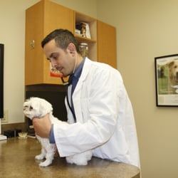 Cachet Village Animal Hospital