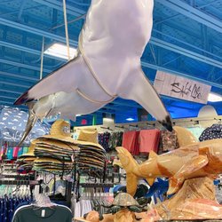 FreeStyle Surf Shop - White shark !