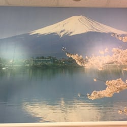 Grace Dental - One of the murals.  Each room has a mural.
