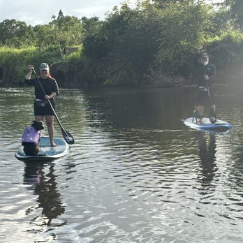 SUP DOG Hawaii - Paddleboarding Near Me - Haleiwa, Hawaii SUP DOG Hawaii - Paddleboarding Near Me - Haleiwa, Hawaii