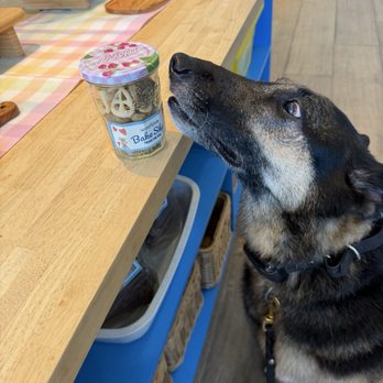 Woofpak Bakery - Pet Stores Near Me - San Diego, California Woofpak Bakery - Pet Stores Near Me - San Diego, California