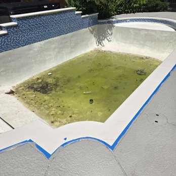 Pool & Spa Divers - Pool emptied and left for 3 months, luckily didn't pop - Pool & Hot Tub Service Near Me - Joshua, Texas Pool & Spa Divers - Pool emptied and left for 3 months, luckily didn't pop - Pool & Hot Tub Service Near Me - Joshua, Texas