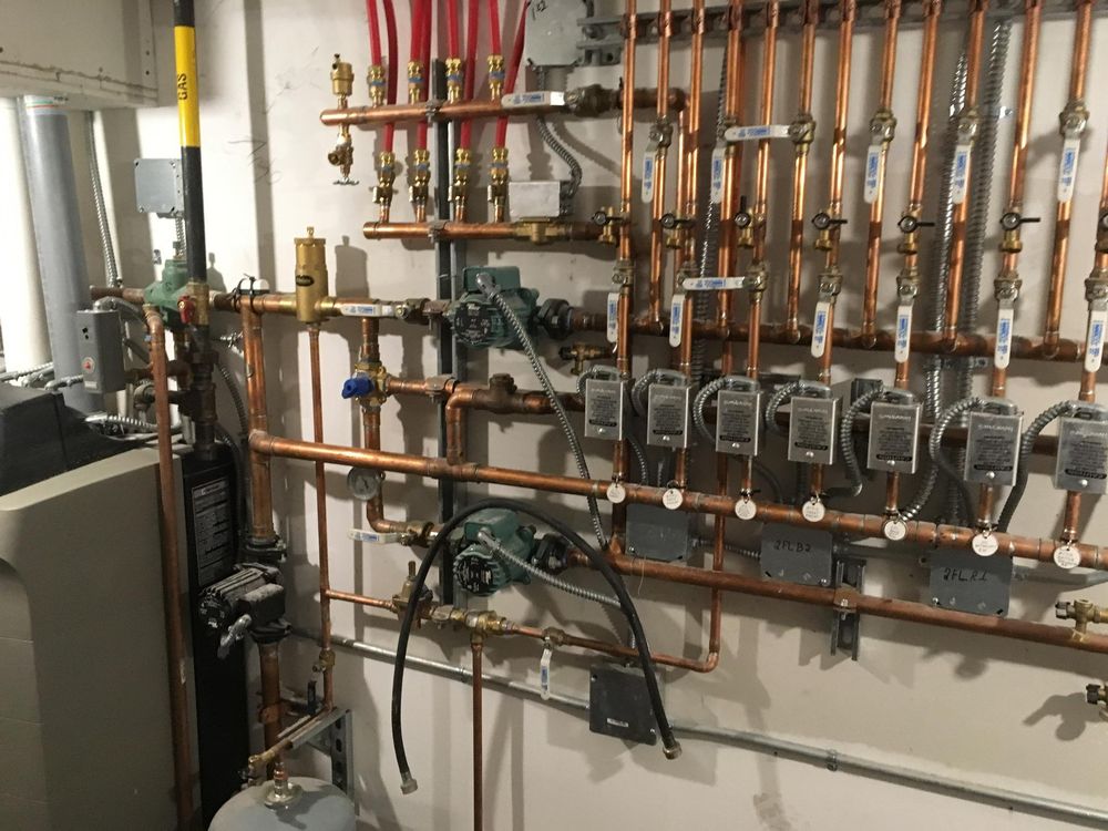 Slide of Prestige Rooter