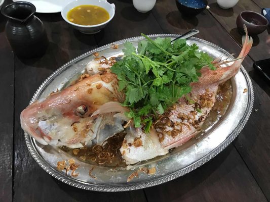 Lucky House Cantonese Private Kitchen 陶然居 by null