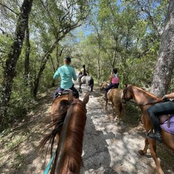 Above And Beyond Equestrian - Trailered to the Econ trails!