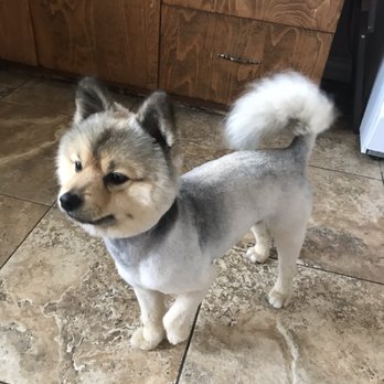 Ohana Paws - Pet Groomers Near Me - Rialto, California Ohana Paws - Pet Groomers Near Me - Rialto, California